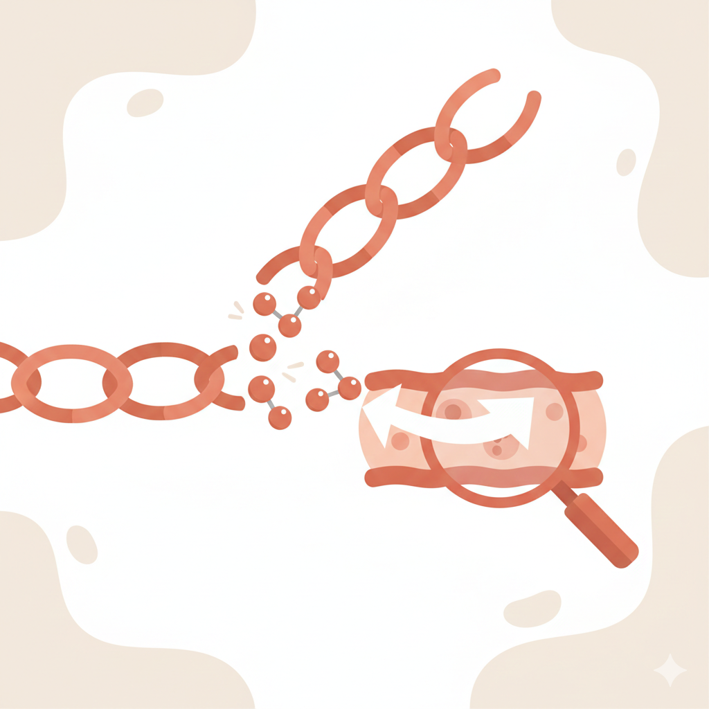 Décrypter les tripeptides de collagène : la révolution de l’assimilation
